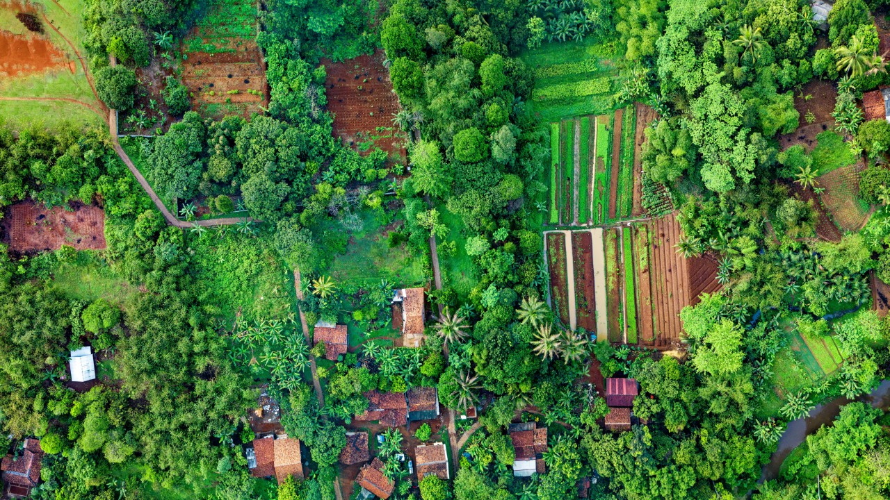 Land Looks Like Opportunity — Until the Law Defines What You Can Actually Do With It